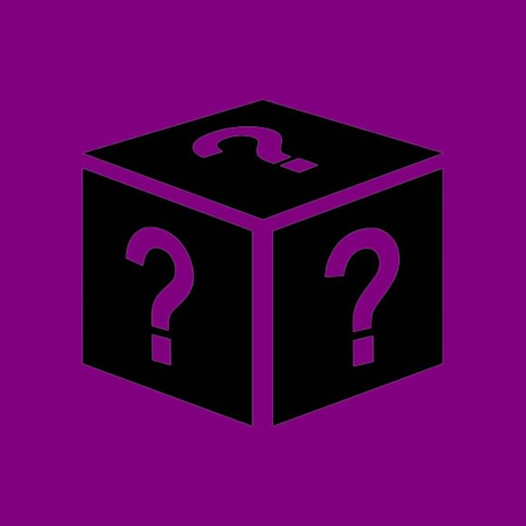 ATTN Resellers: Women's 10+ Pc Mystery Bundle - All NEW Clothing! - Picture 4 of 10